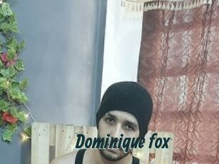Dominique_fox