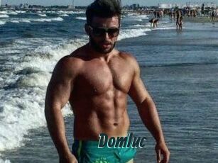 Domluc