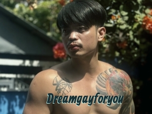 Dreamgayforyou