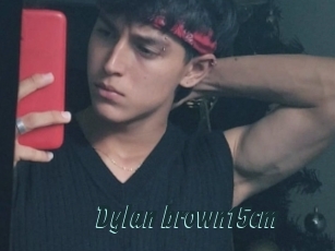 Dylan_brown15cm