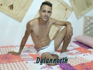 Dylan_north