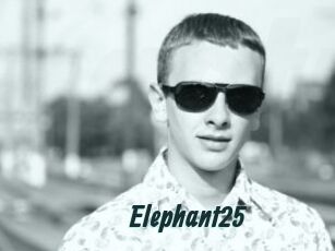 Elephant25