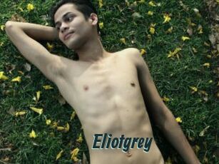 Eliotgrey