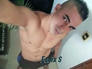 Fenix_S