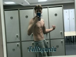 Fellixgarcia