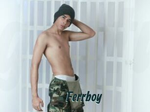 Ferrboy