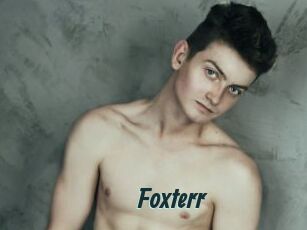 Foxterr