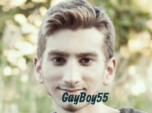 GayBoy55