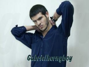 Gabrielhornyboy