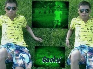 Gaokui