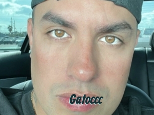 Gatoccc