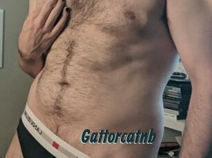 Gattorcatnb