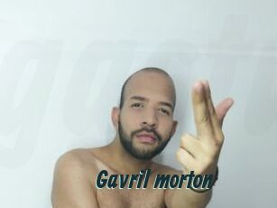 Gavril_morton