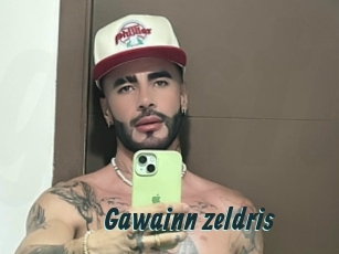 Gawainn_zeldris
