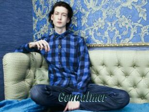 Genaalmer