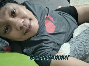 Georgedammer