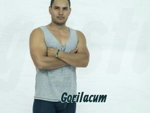 Gorilacum