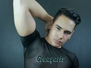 Graayarts