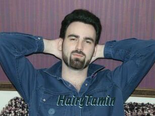 HairyTamin