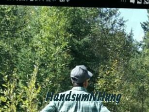 HandsumNHung