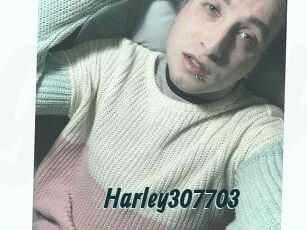 Harley307703