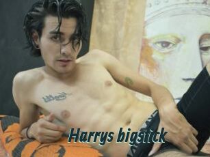 Harrys_bigstick