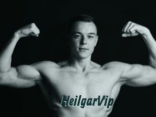 HeilgarVip