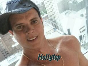 Hollytop