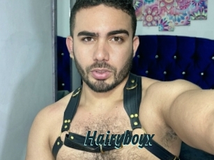 Hairyboyx