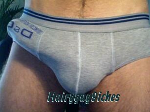 Hairygay9iches