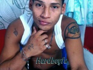 Hardboyfu