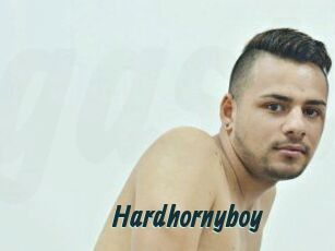 Hardhornyboy