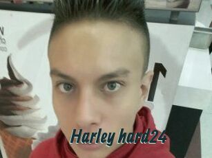 Harley_hard24