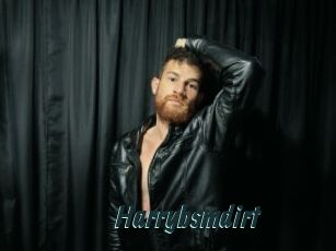 Harrybsmdirt
