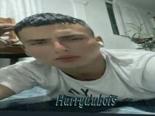 Harrydubois