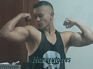 Harveytorres