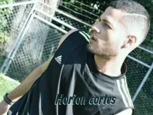 Horion_cortes