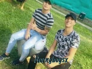 Hornyboysx