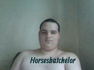 Horsesbatchelor