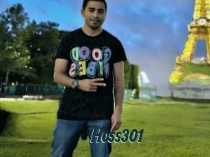 Hoss301