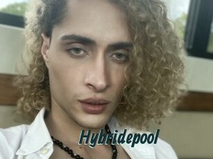 Hybridepool