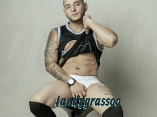iandygrassoo Gays Tube