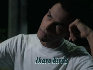Ikaro_birdy