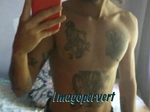 Imagopervert