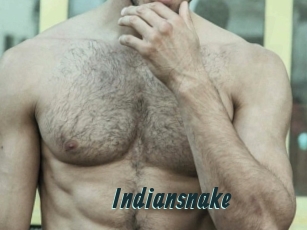 Indiansnake