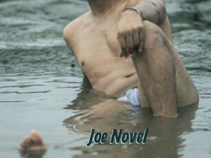 Joe_Novel