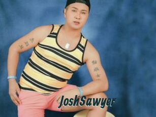 JoshSawyer