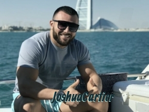 JoshuaCartier Gays Tube