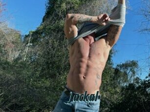 Jackal
