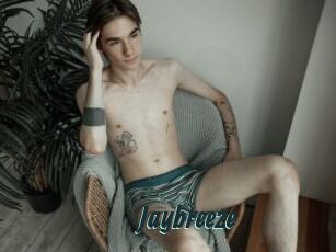 Jaybreeze